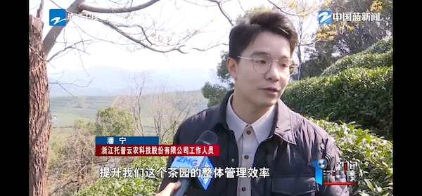 春茶開采正當時！揭秘托普云農如何用科技“制”出一杯數字好茶