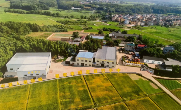 江山市峰田數智大田典型案例